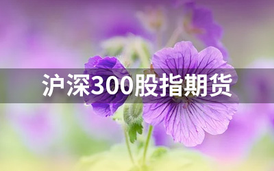 沪深300股指期货