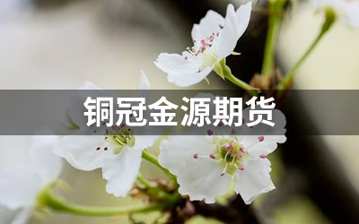 铜冠金源期货