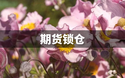 期货锁仓