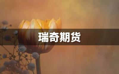 瑞奇期货