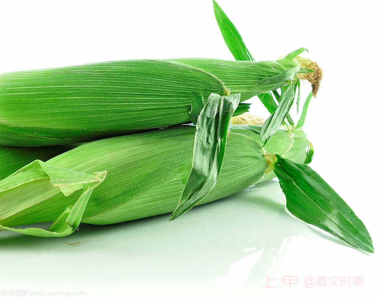 玉米上涨，基准期约收高1.8%