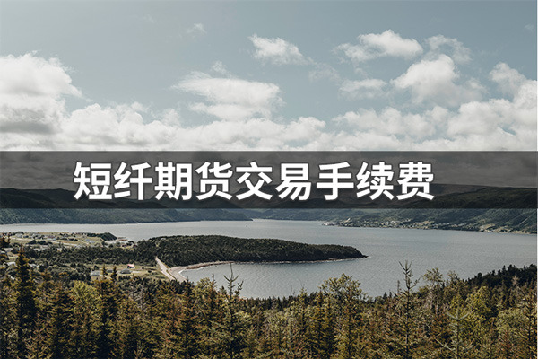 短纤期货一手手续费多少钱？2022年短纤期货交易手续费详解