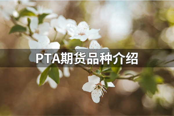 PTA期货是什么品种？PTA期货品种具体介绍
