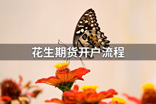 花生期货如何开户？花生期货开户流程介绍