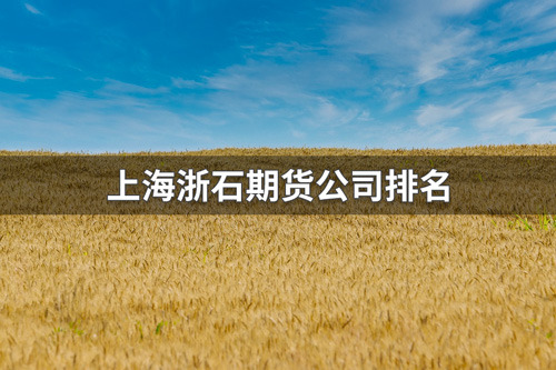 上海浙石期货什么级别？上海浙石期货公司排名