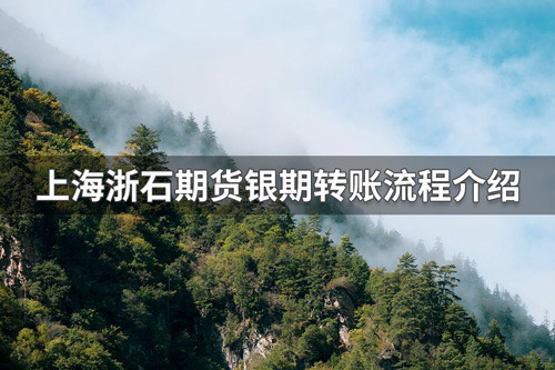 上海浙石期货银期转账怎么转？上海浙石期货银期转账流程介绍