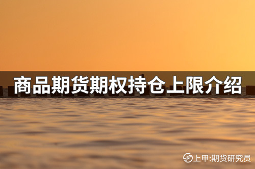 商品期货期权持仓上限是多少？商品期货期权持仓上限介绍