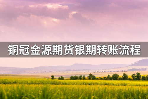 铜冠金源期货银期转账怎么转？铜冠金源期货银期转账流程介绍