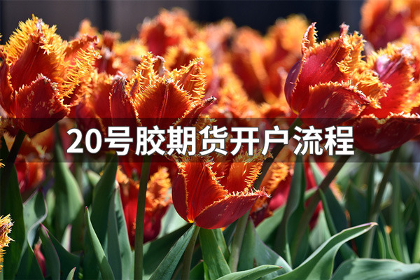 20号胶期货可以网上开户吗？20号胶期货开户条件和流程