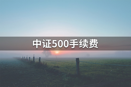 中证500指数期货手续费要多少？中证500指数期货收费标准