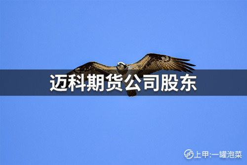 迈科期货公司是国企吗？迈科期货公司股东介绍
