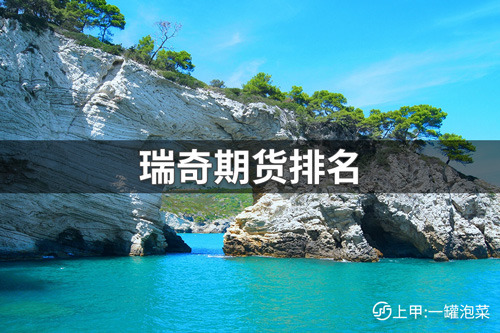 瑞奇期货全国排名多少？瑞奇期货全国最新排名介绍