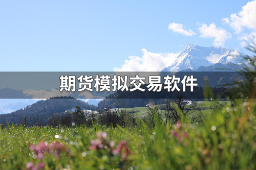 期货模拟交易软件有哪些？期货模拟交易软件哪个好？