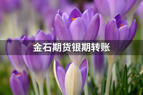金石期货银期转账怎么操作？金石期货银期转账流程
