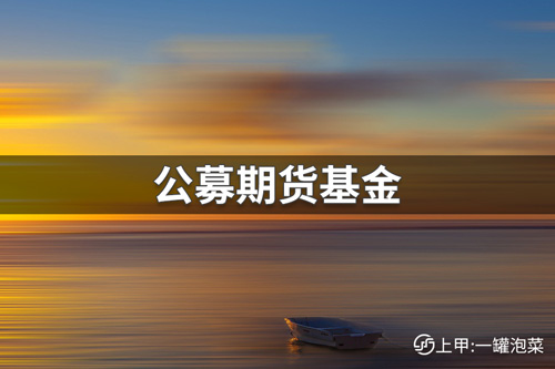 公募基金可以做股指期货吗？哪类公募基金不可参与？