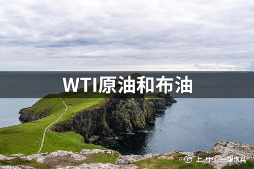 WTI原油和布油的区别在哪里？