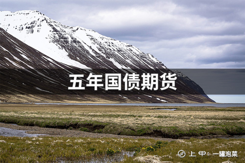 五年国债期货盈亏计算公式介绍