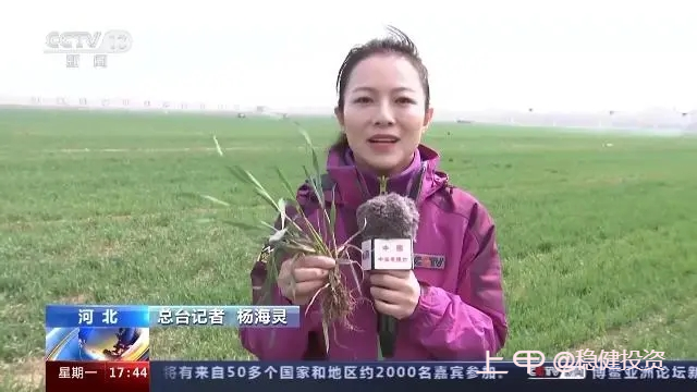 中国2023冬小麦一二类苗比例89.4% 长势好于上年