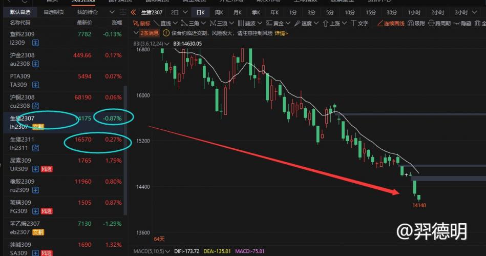 生猪2307合约即将到期，空头逼仓情绪浓厚