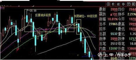 写给正在亏损的散户：用最“笨”的办法，逃过所有的下跌