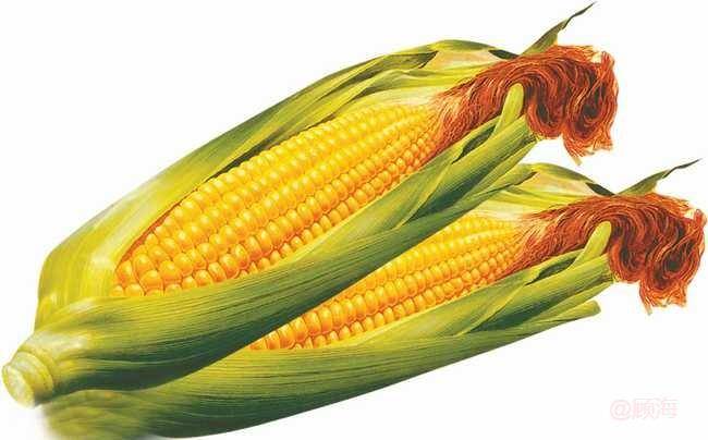 玉米:成本支撑 期货微涨 周三夜盘玉米期货试探上涨
