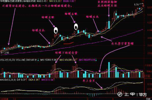 炒股能够帮助到你的一些炒股方法!