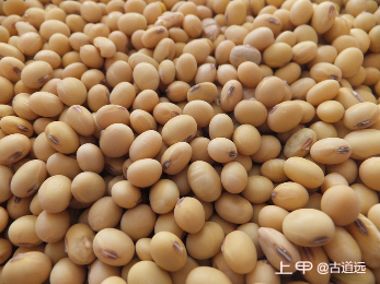 豆类：种植面积报告低于预期