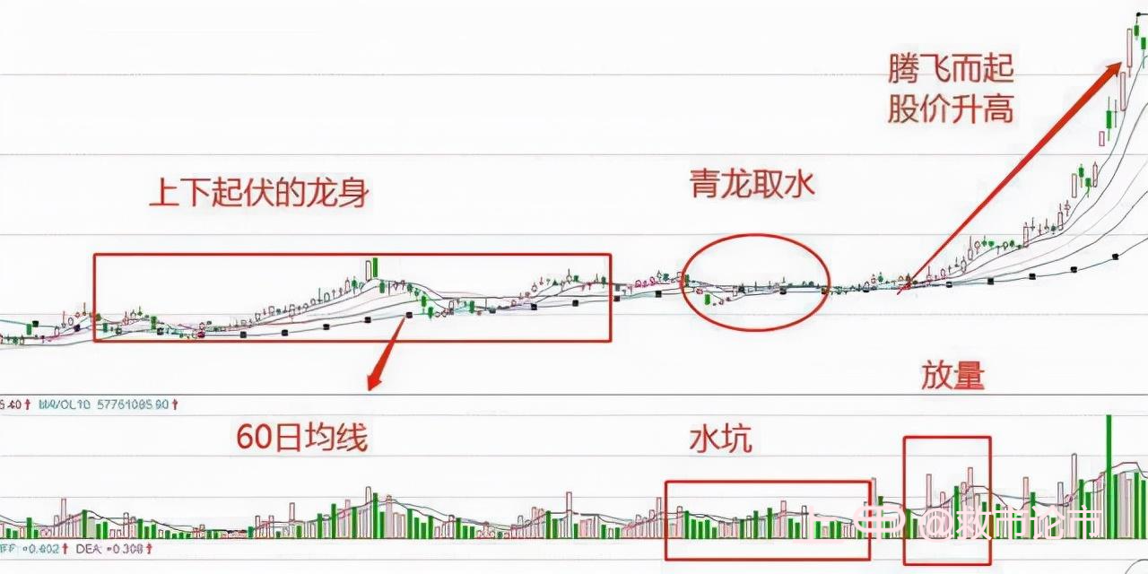 中国发财的只有三种人：大跌后的股票很便宜，我们为什么不敢买？