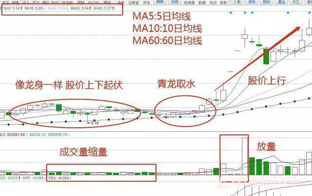 中国发财的只有三种人：大跌后的股票很便宜，我们为什么不敢买？