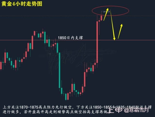 3.11黄金大阳上涨，原油触及低位回升，如何布局？