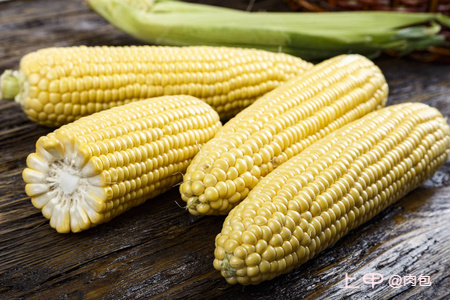 玉米:政策性小麦冲击减弱 玉米期现货价格上涨