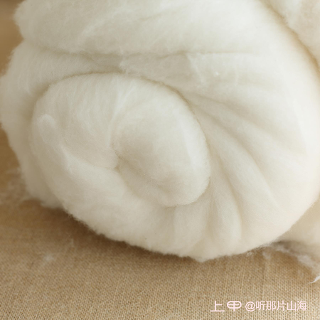 棉花: 美棉收涨 月度供需报告提振