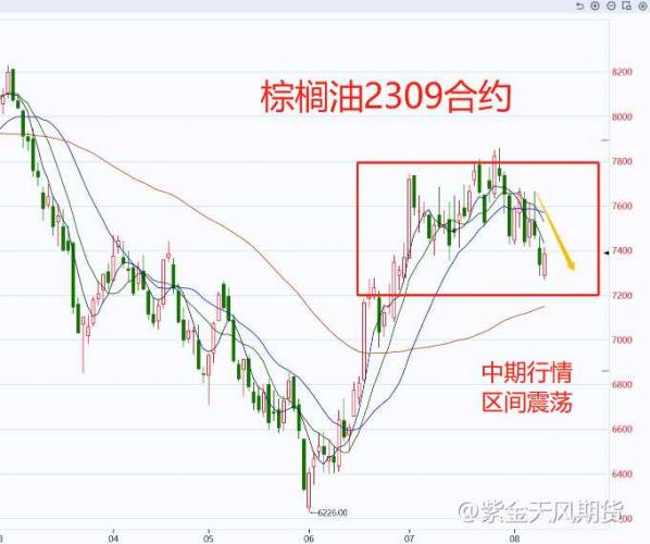 天气端炒作降温，关注棕榈油短空机会