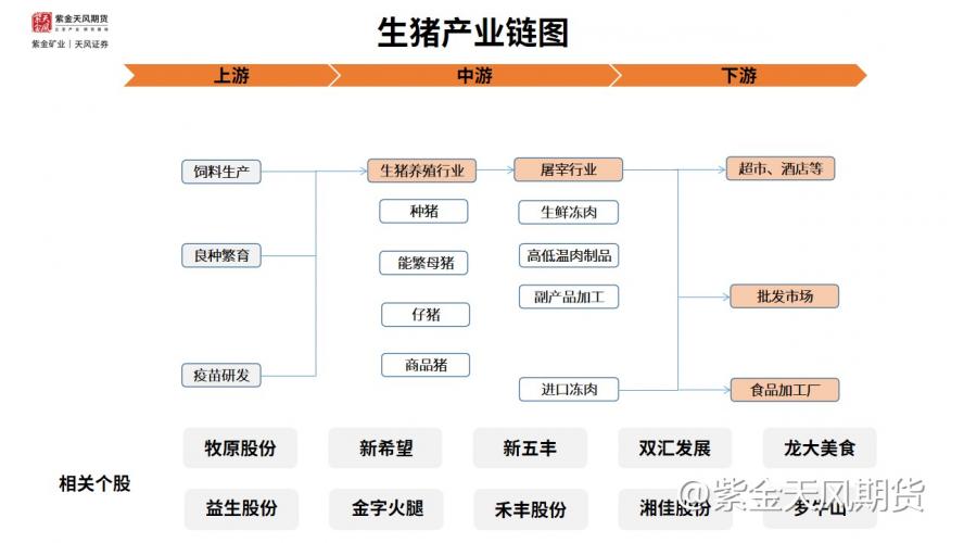 生猪站上17000关口，短期看涨吗？