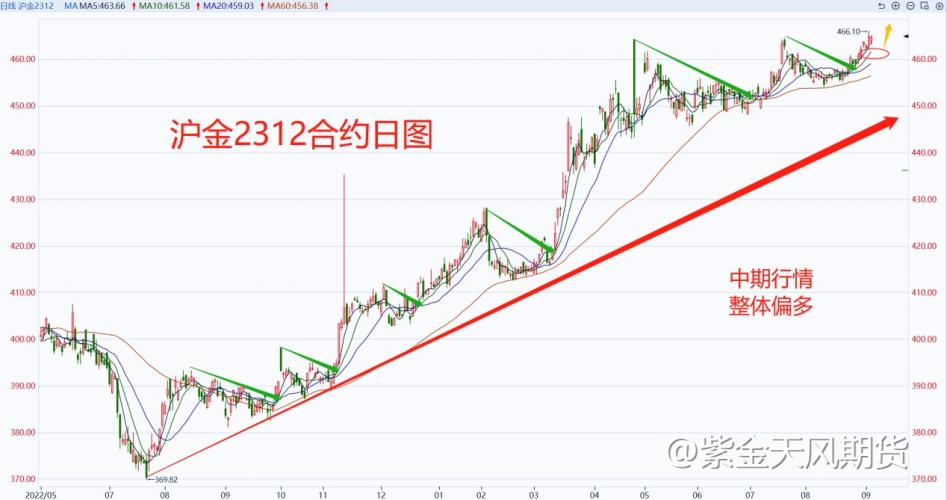 沪金再创合约上市新高，是否继续低多？I黄金周报