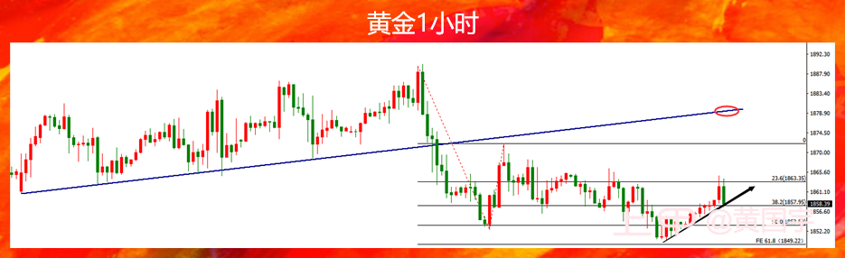 黄国宇：都认为CPI会企稳反弹，那黄金涨一波怎么了？