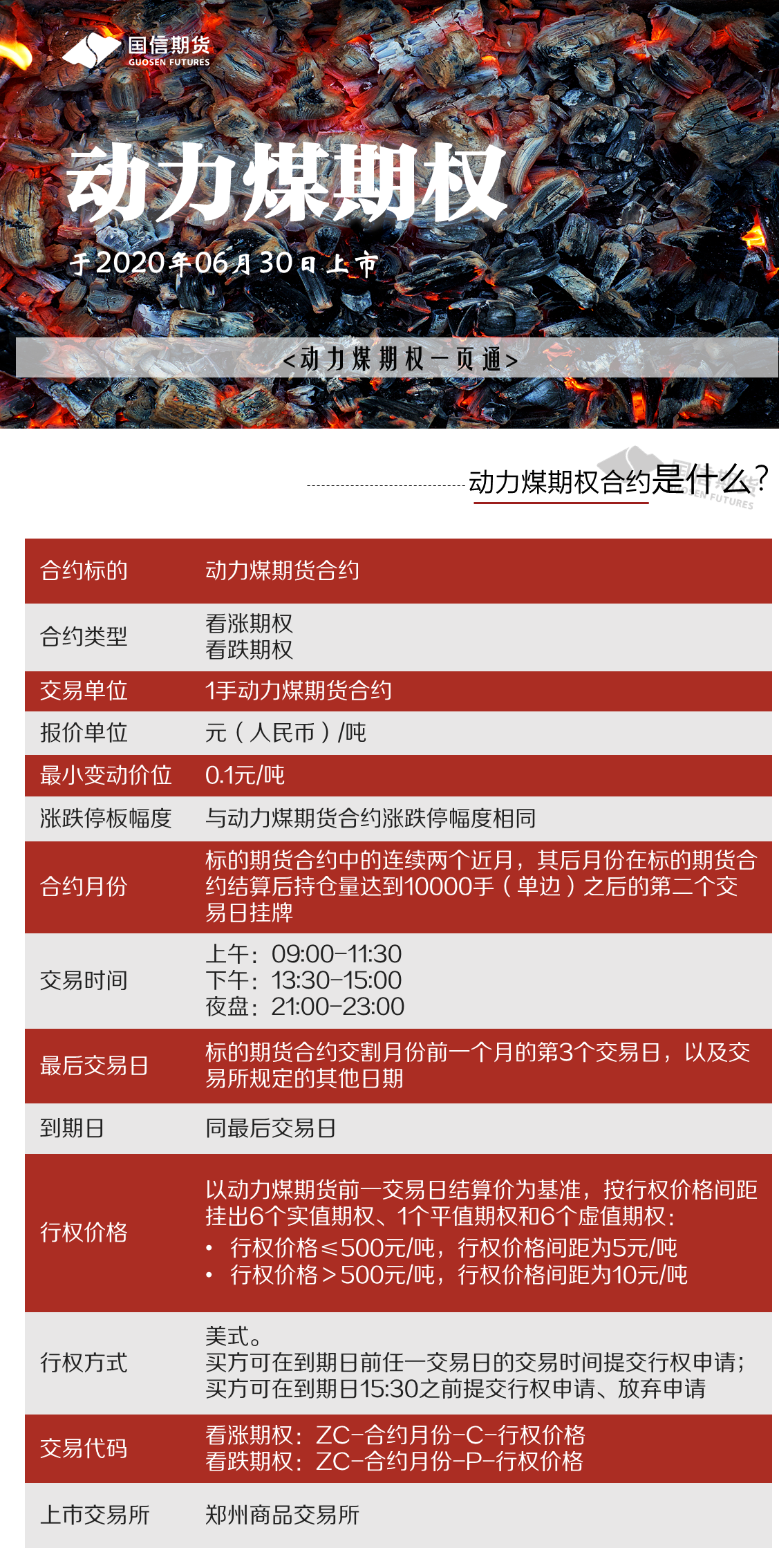动力煤期权