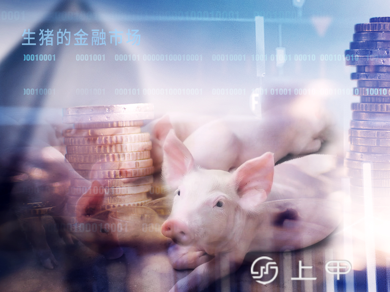 近期生猪市场价格以震荡下跌为主