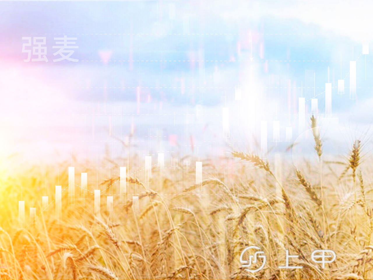上周美国小麦出口检验量增长 对中国出口近7万吨小麦