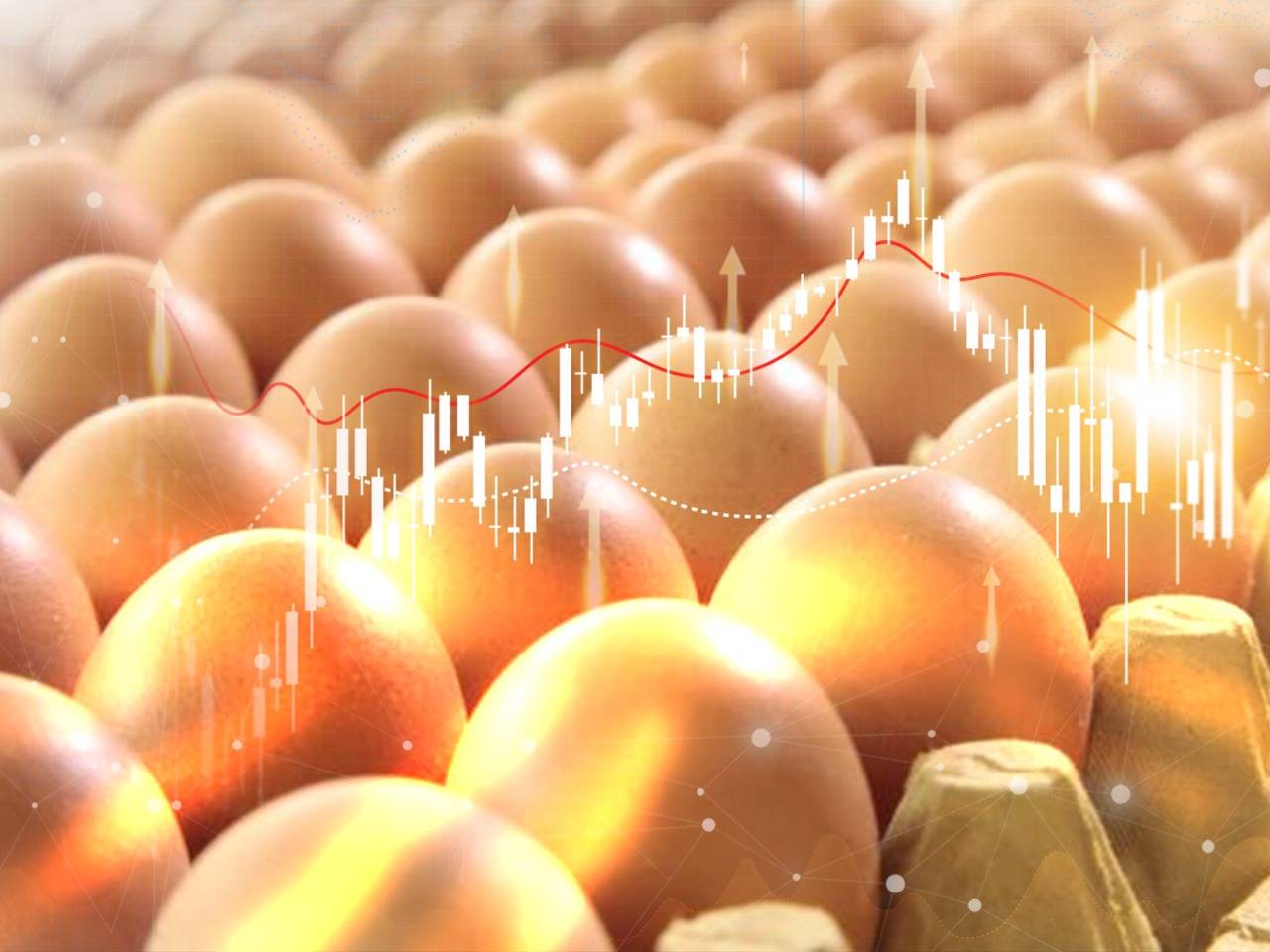 上半年蛋鸡补栏增加，供应面或利空下半年鸡蛋价格